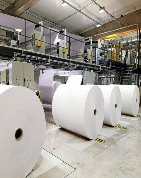 paper-pulp2