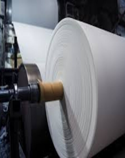 paper-pulp4